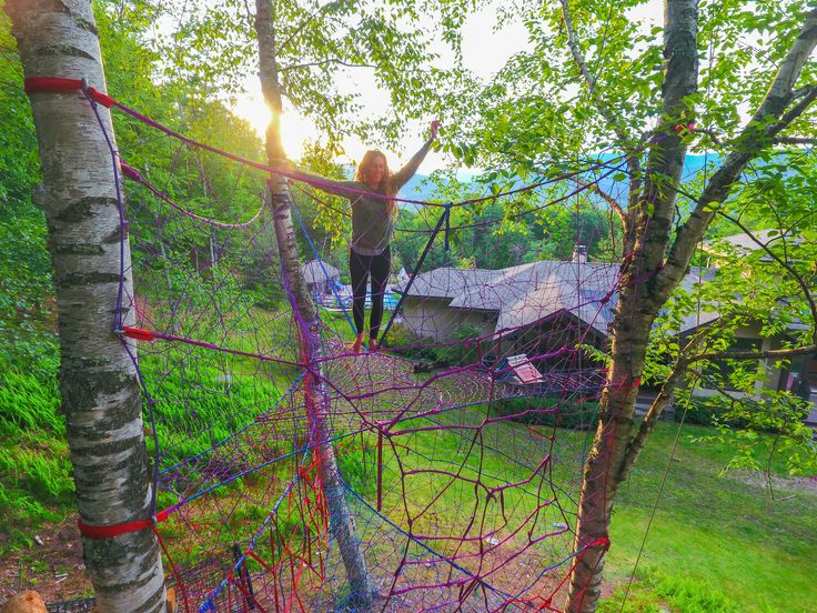 تصویر تور دست بافت اسایدرنت tree net